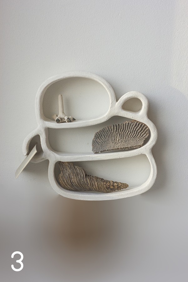 Lentynėlės "Skruzdėlynas"