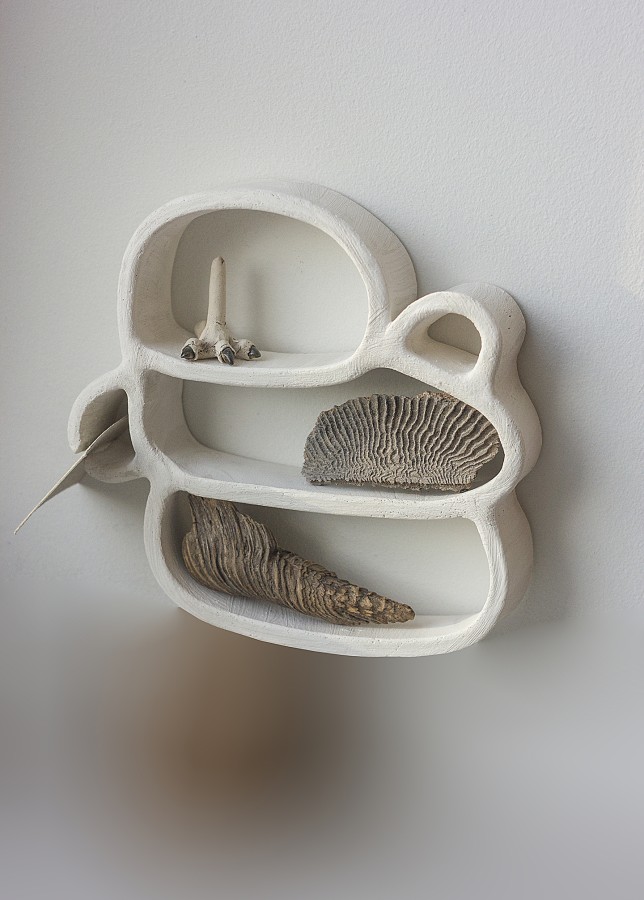 Lentynėlės "Skruzdėlynas"