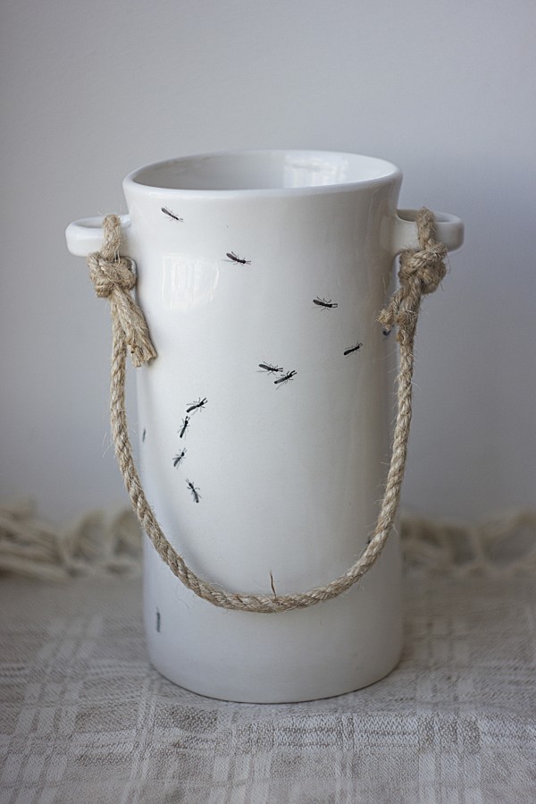 Vaza "Bidonėlis su skruzdėm" 2